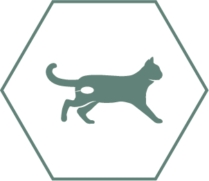 Aiuta a mantenere in salute il tratto urinario nei gatti sterilizzati grazie al corretto bilanciamento dei minerali