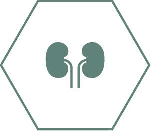 Promotes healthy kidneys thanks to a special combination of nutrients including anti-oxidants, arginine and omega-3 fatty acids