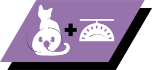 Developed for sterilised kittens to maintain urinary health and ideal body weight