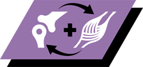 Source of high quality protein, such as milk protein