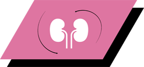 With arginine, antioxidants and omega-3 fatty acids to promote healthy kidneys