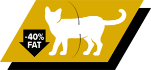 Formulated with high protein level and 30% less fat1 to help maintain lean muscle while promoting fat loss