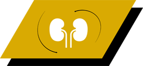 With arginine, antioxidants and omega-3 fatty acids to promote healthy kidneys