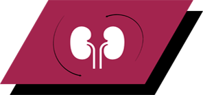 With arginine, antioxidants and omega-3 fatty acids to promote healthy kidneys