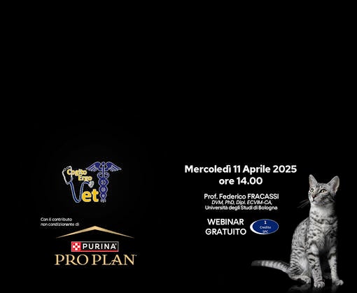 Diabete Mellito felino - 11 Aprile