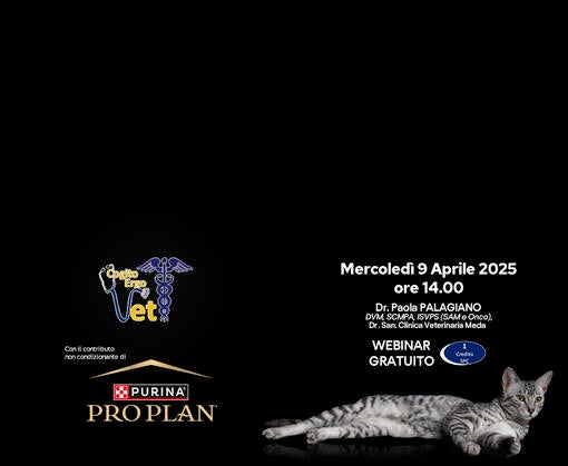 Diabete Mellito felino - 9 Aprile