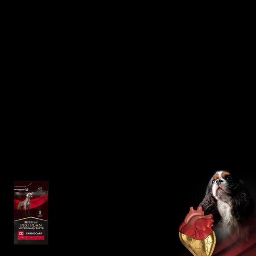 PURINA PRO PLAN VETERINARY DIETS CC CardioCare