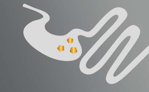 Salute Gastrointestinale