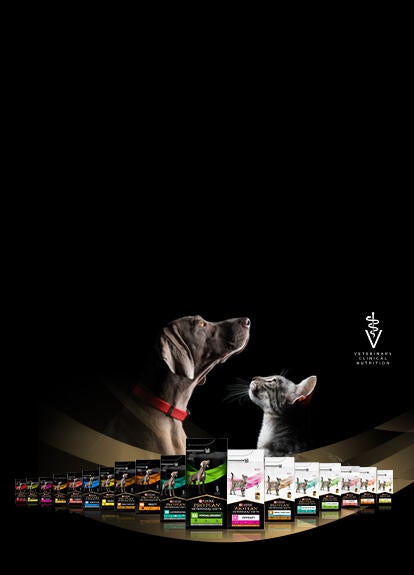 I nostri packaging e il nostro impegno per la sostenibilità