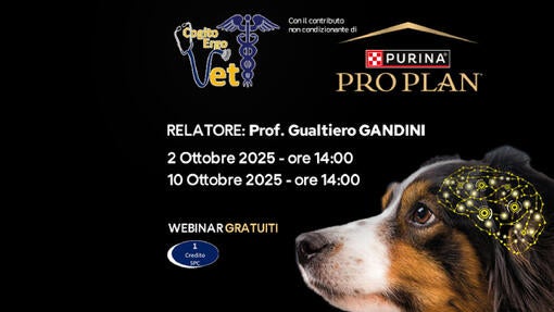 Cogito Ergo Vet