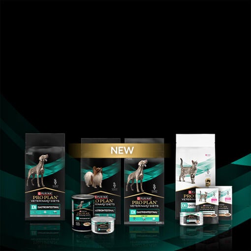 Fai la differenza sulla salute dell'intestino