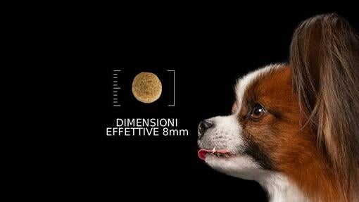 Dimensioni effettive 8 mm
