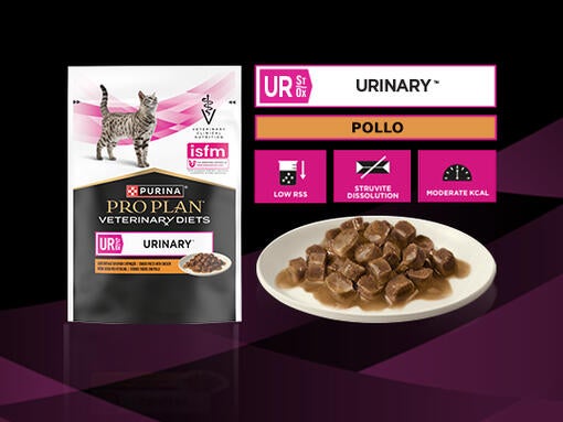 PURINA® PRO PLAN® VETERINARY DIETS FELINE UR St/Ox Urinary™ - Bustina - Pollo