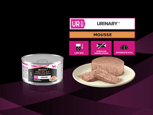 PURINA® PRO PLAN® VETERINARY DIETS FELINE UR St/Ox Urinary™ - Mousse