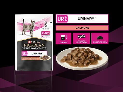 PURINA® PRO PLAN® VETERINARY DIETS FELINE UR St/Ox Urinary™ - Bustina - Salmone