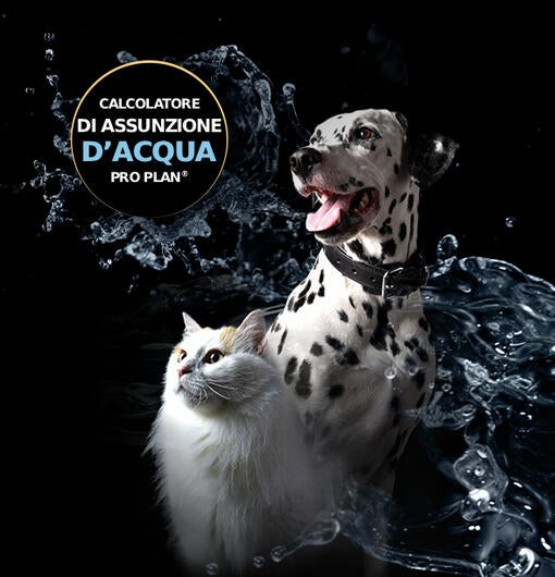 Calcolatore dell'assunzione di acqua per cani e gatti di PRO PLAN®