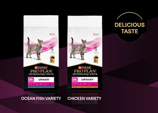 PURINA® PRO PLAN® VETERINARY DIETS FELINE UR St/Ox Urinary™