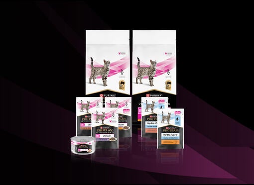 PRO PLAN® Veterinary Diets Feline UR Urinary™ St/Ox