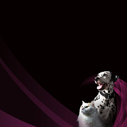 Supporto specifico per la salute dell'apparato urinario