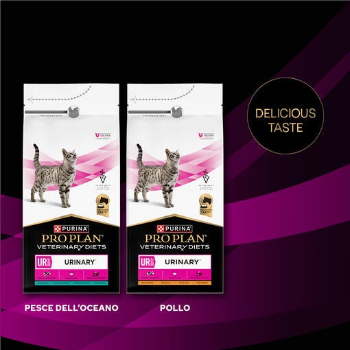 PURINA® PRO PLAN® VETERINARY DIETS FELINE UR St/Ox Urinary™