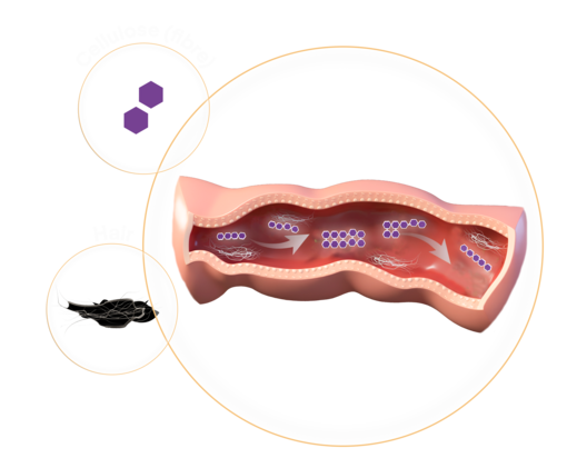 Illustrazione del tratto intestinale del gatto con boli di pelo e molecole che ne facilitano il passaggio