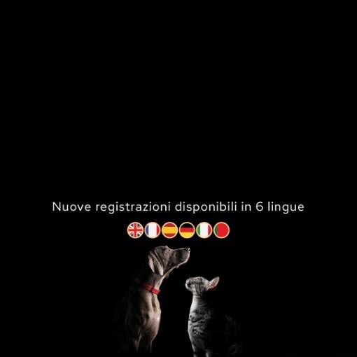 Purina® PRO PLAN® GI Symposium 2026