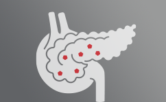 Salute del Sistema Endocrino